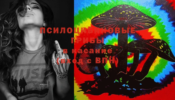 дурь Вязьма