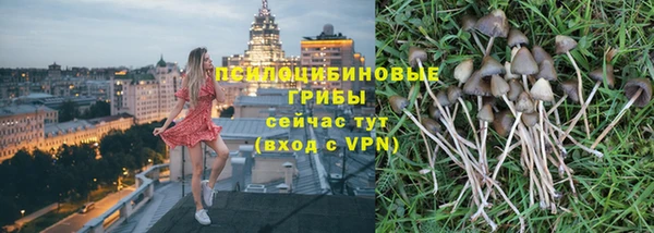 дурь Вязьма